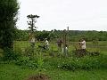 voluntarios preparando la huerta